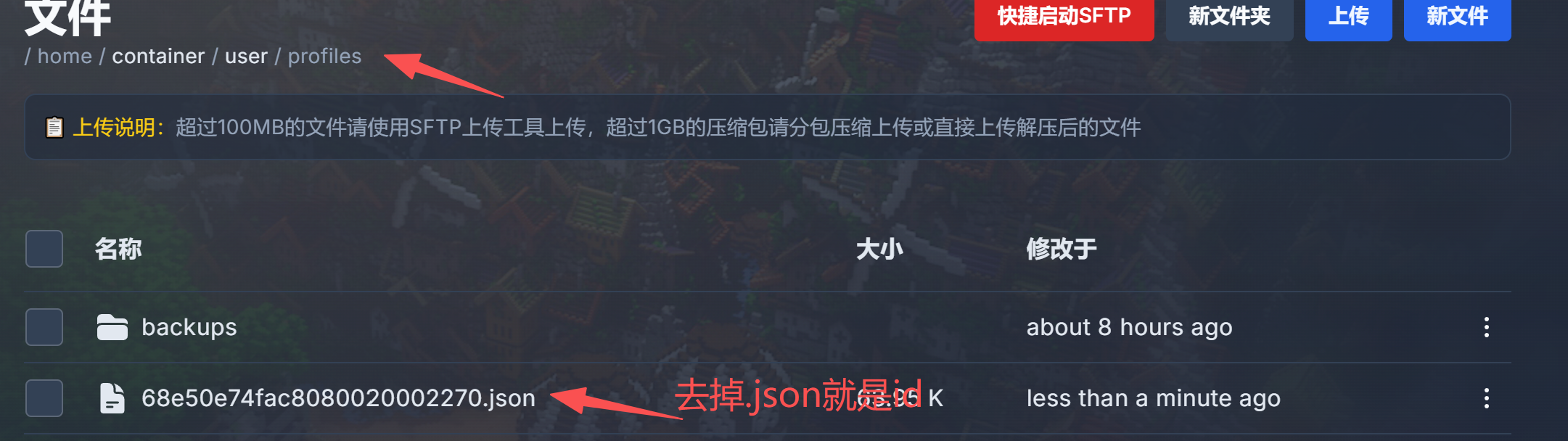 ID文件路径